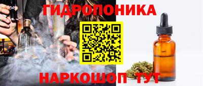 амф Новозыбков