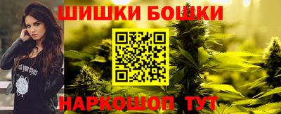 амф Новозыбков