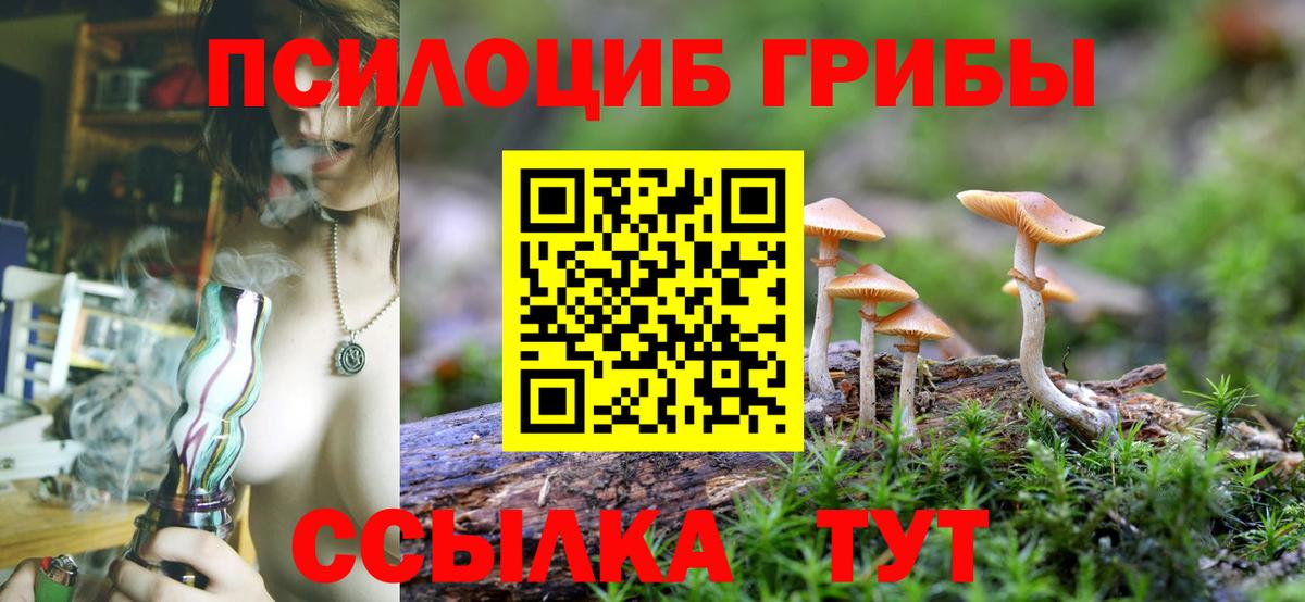 Псилоцибиновые грибы прущие грибы Сочи