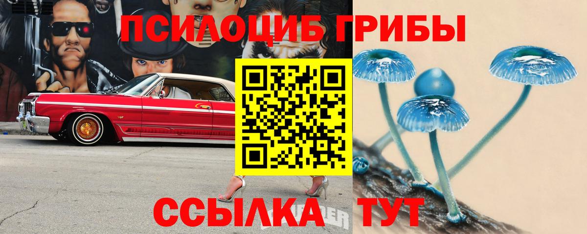 Сочи  Галлюциногенные грибы Cubensis  Вход с VPN 
